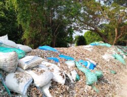 GUNUNGAN LIMBAH CANGKANG KERANG DI BANTARAN SUNGAI BONDET CIREBON TEBAR BAU MENYENGAT