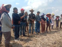 INDRAMAYU DIPROYEKSIKAN SEBAGAI SENTRA PEMBIBITAN KEDELAI NASIONAL