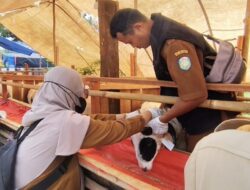 DKPP KABUPATEN INDRAMAYU PASTIKAN HEWAN QURBAN YANG DIJUAL  DALAM KONDISI SEHAT