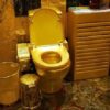 GMHI KRITIK KERAS ALOKASI ANGGARAN PEMBANGUNAN  WC TOILET KETUA DPRD INDRAMAYU