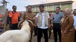 WALIKOTA CIREBON TINJAU KELAYAKAN HEWAN QURBAN DAN PEMENUHAN SYARIAH ISLAM DI LIMA TITIK